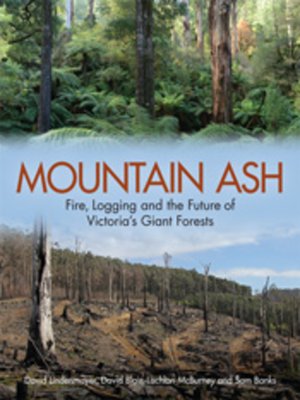 cover image of Mountain Ash